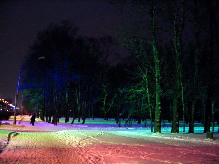 Праздничная подсветка Парка Победы. В новогодние праздники деревья в парке переливаются синим, зеленым и фиолетовым цветами.